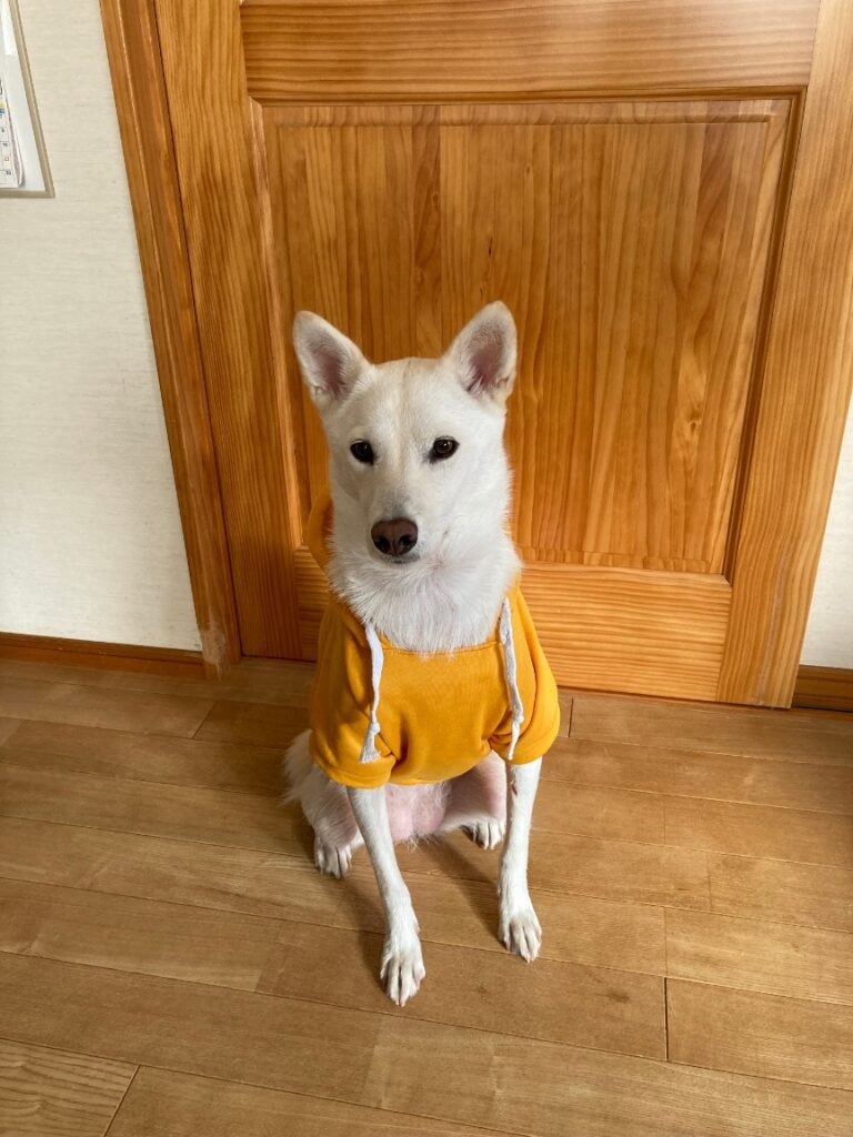 池上 麻由美さん