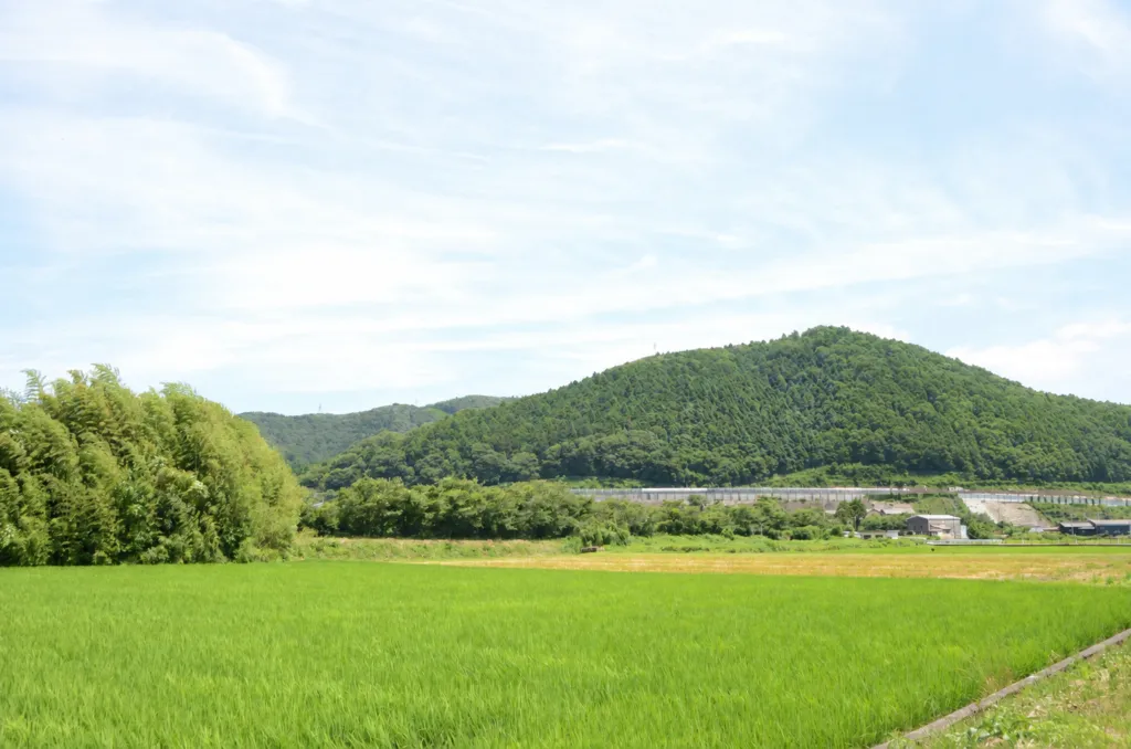 わが家ひだまりの様子
