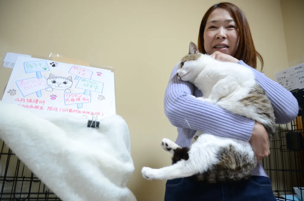 ふらっとひだまりの様子